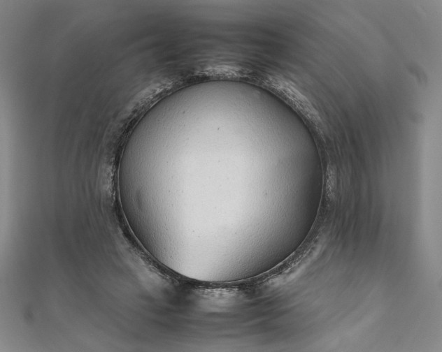 X0000111920449200908031208