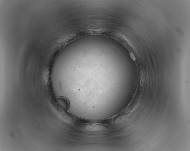 X0000111920451200908031208