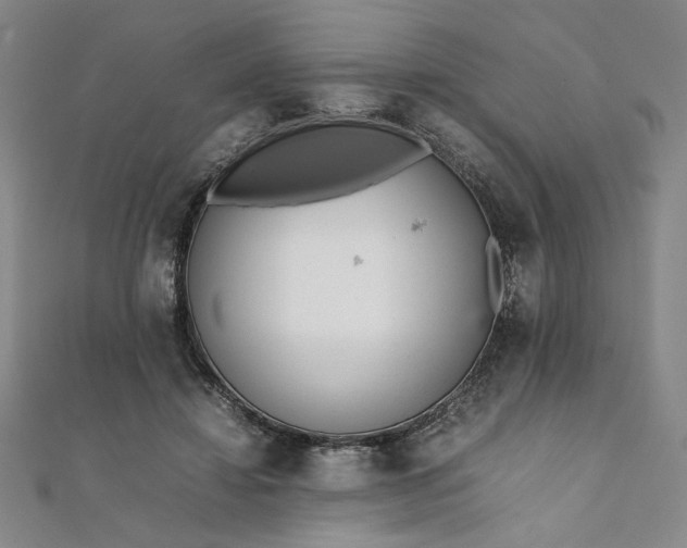 X0000111920452200908031208