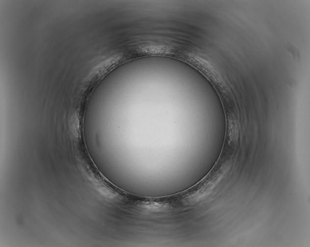 X0000111920453200908031208