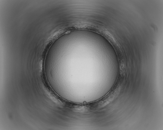 X0000111920454200908031208