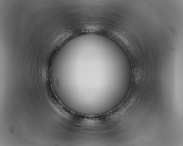 X0000111920455200908031208