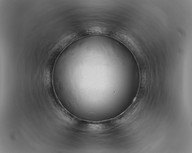 X0000111920457200908031208