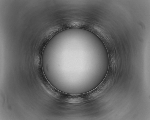 X0000111920459200908031208