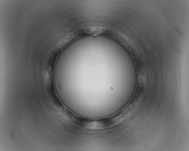 X0000111920460200908031208