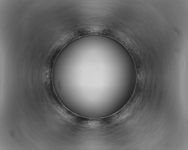 X0000111920462200908031208