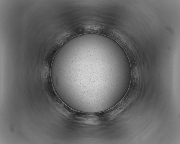 X0000111920463200908031208