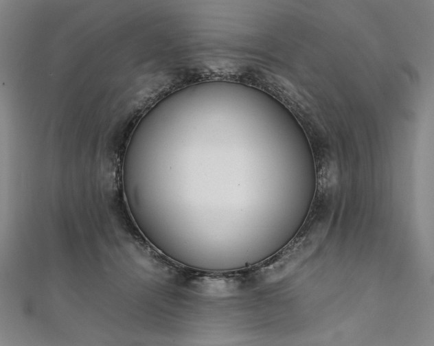 X0000111920464200908031208