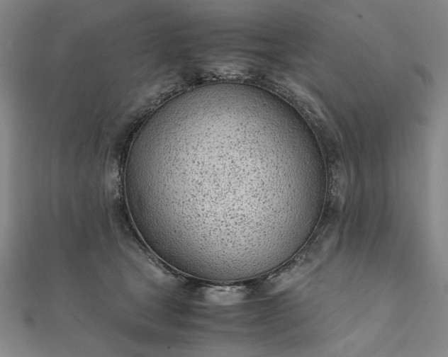 X0000111920465200908031208