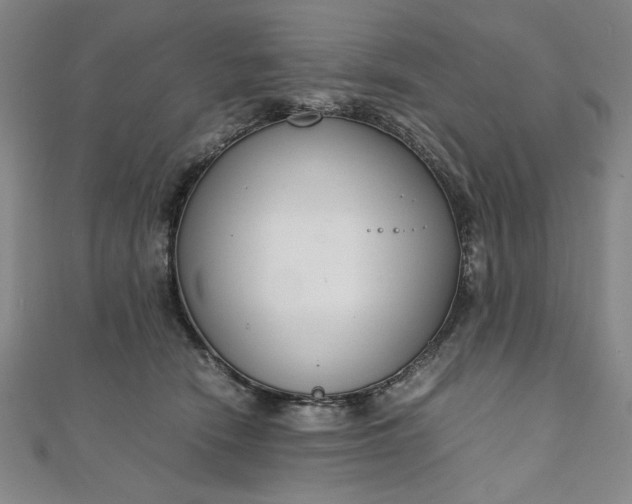 X0000111920466200908031208