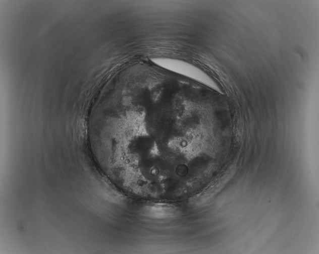 X0000111920467200908031208