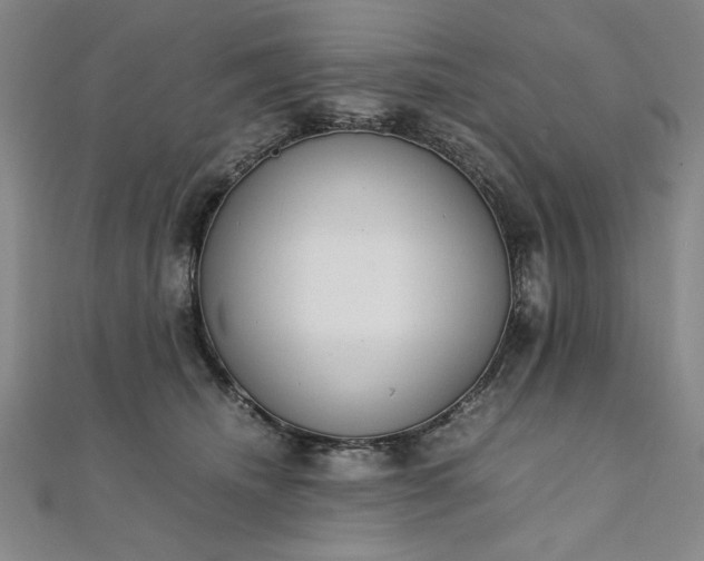 X0000111920468200908031208