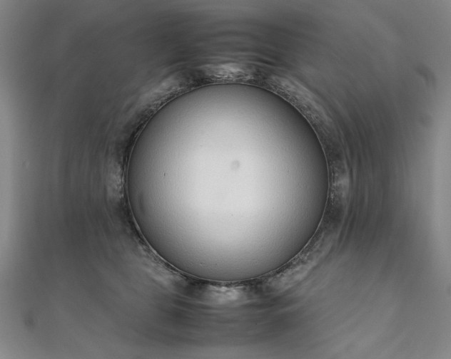 X0000111920469200908031208