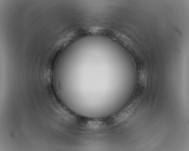 X0000111920470200908031208