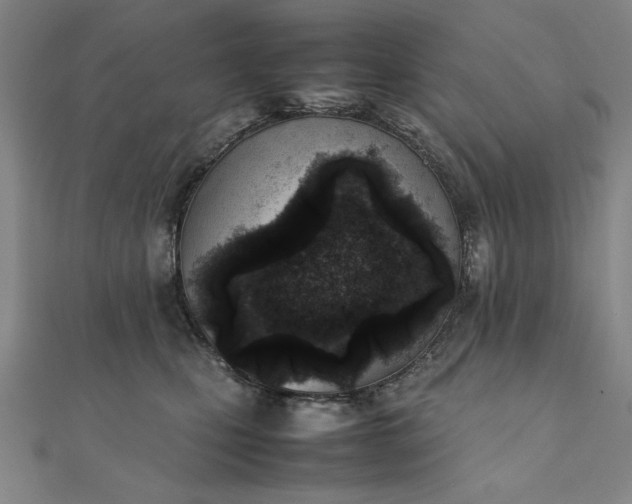 X0000111920471200908031208