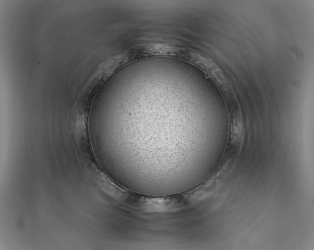 X0000111920473200908031208