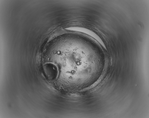 X0000111920475200908031208