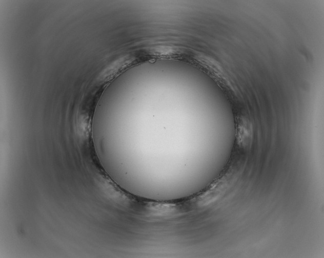 X0000111920476200908031208