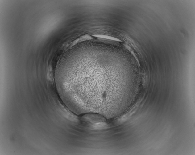 X0000111920477200908031208