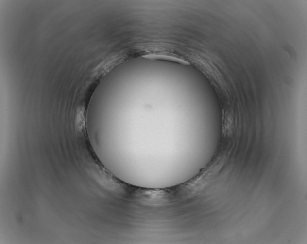 X0000111920478200908031208