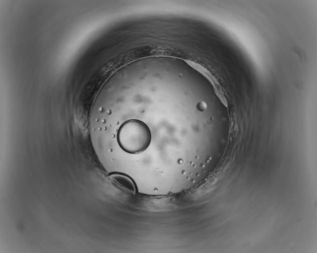 X0000111920479200908031208