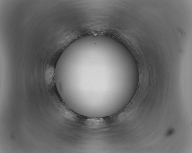 X0000111920480200908031208