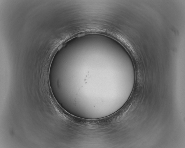 X0000111920481200908031208