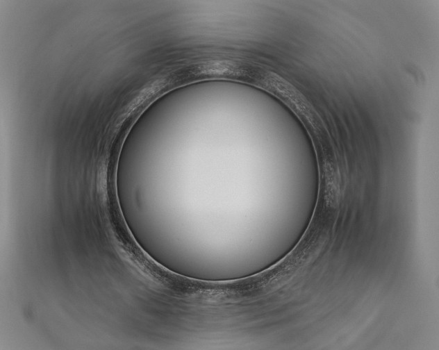 X0000111920482200908031208