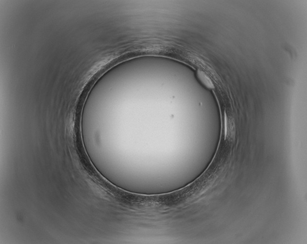 X0000111920483200908031208