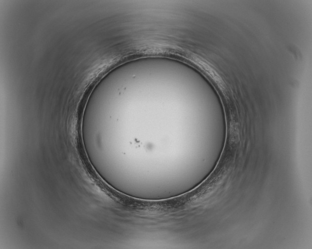 X0000111920485200908031208