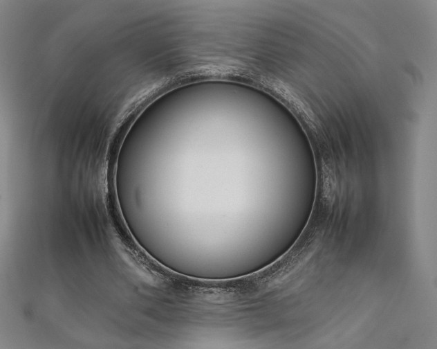 X0000111920486200908031208