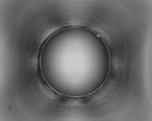 X0000111920488200908031208