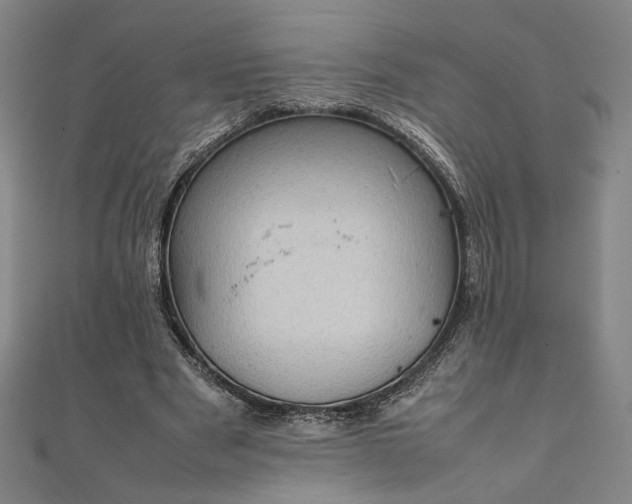 X0000111920489200908031208