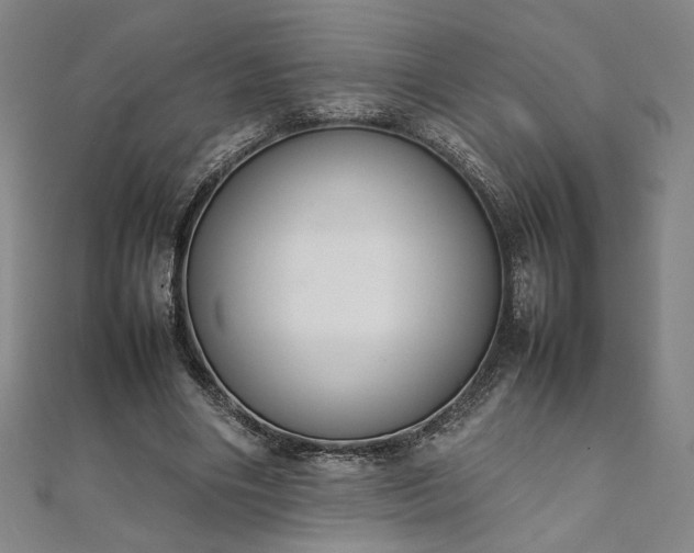 X0000111920490200908031208