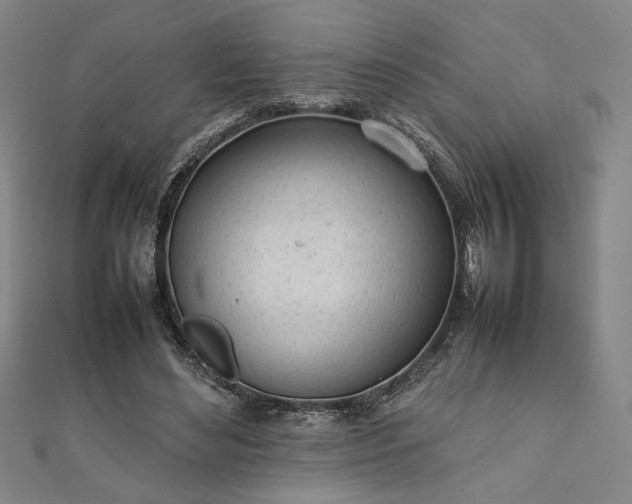 X0000111920492200908031208