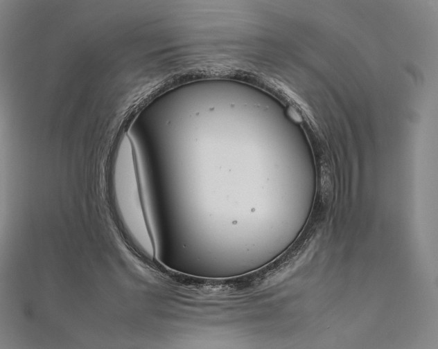 X0000111920493200908031208