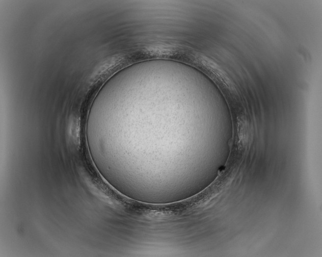 X0000111920494200908031208