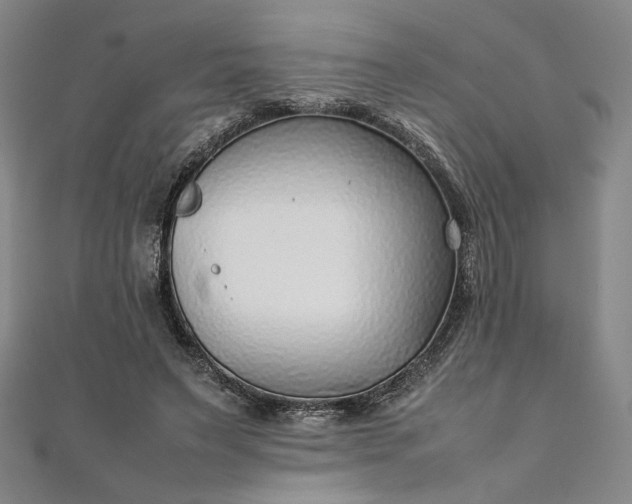 X0000111920495200908031208