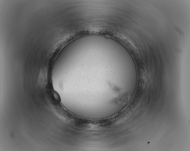 X0000111920496200908031208