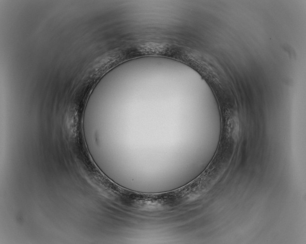 X0000111920498200908031207