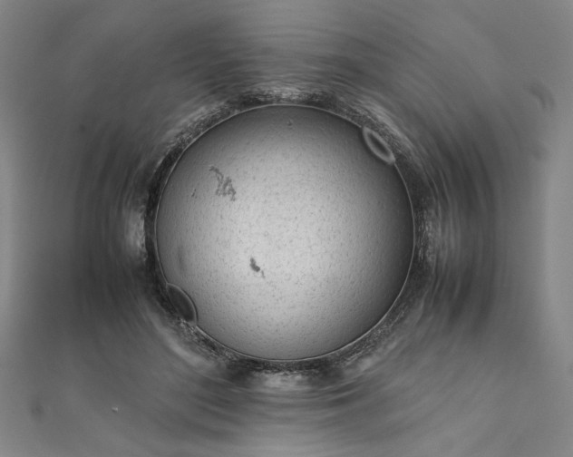 X0000111920500200908031207