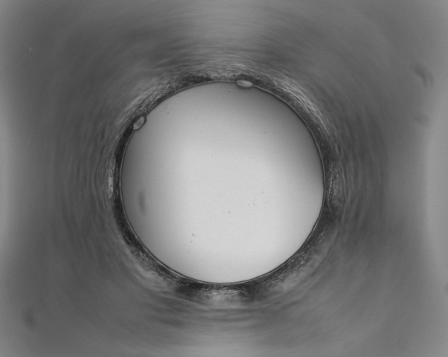 X0000111920501200908031207