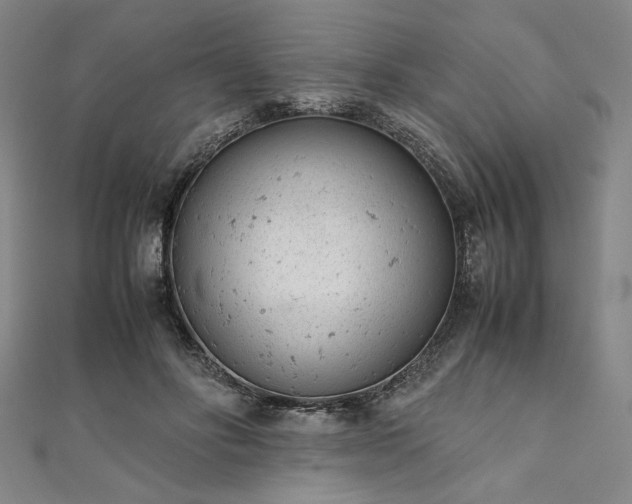 X0000111920502200908031207