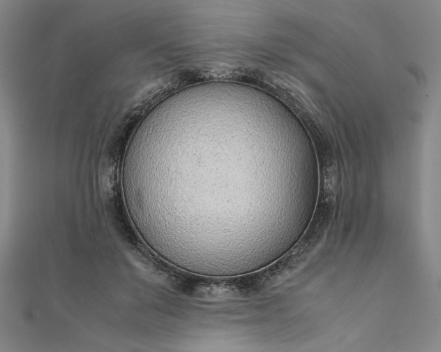 X0000111920503200908031207