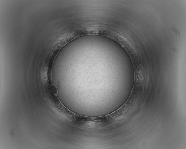 X0000111920504200908031207