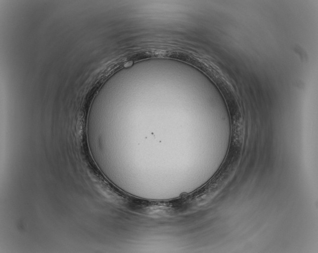 X0000111920505200908031207