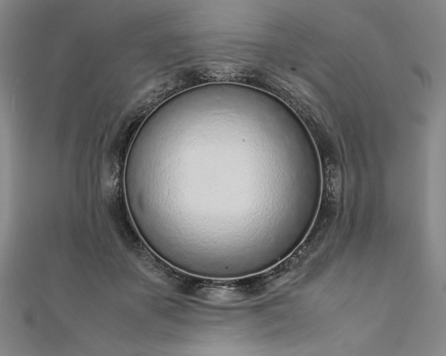 X0000111920507200908031207