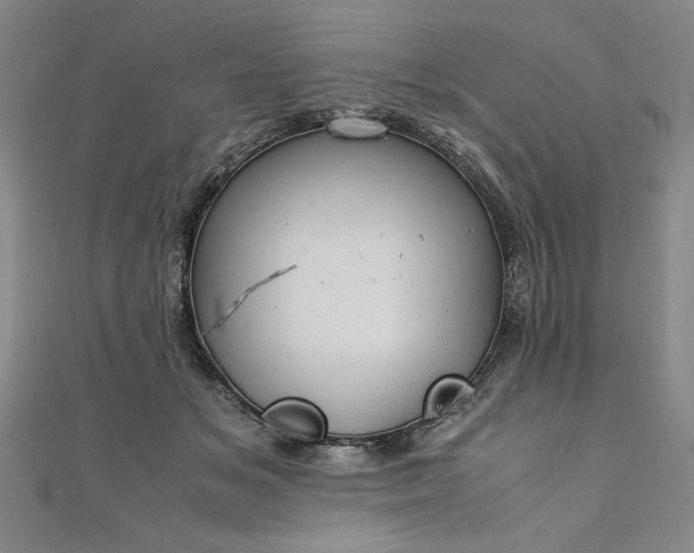 X0000111920509200908031207