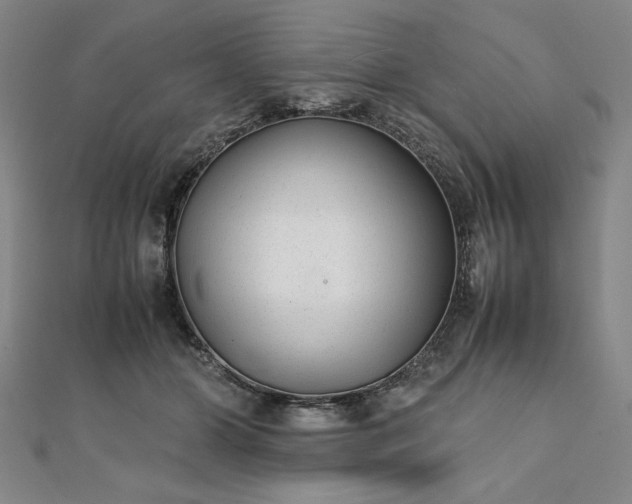 X0000111920510200908031207