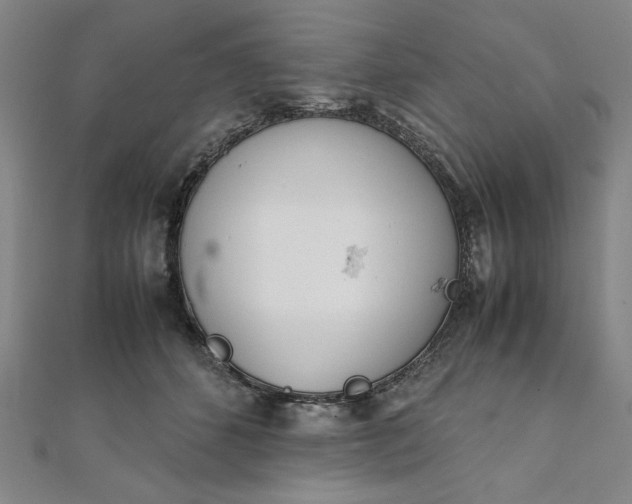 X0000111920512200908031207